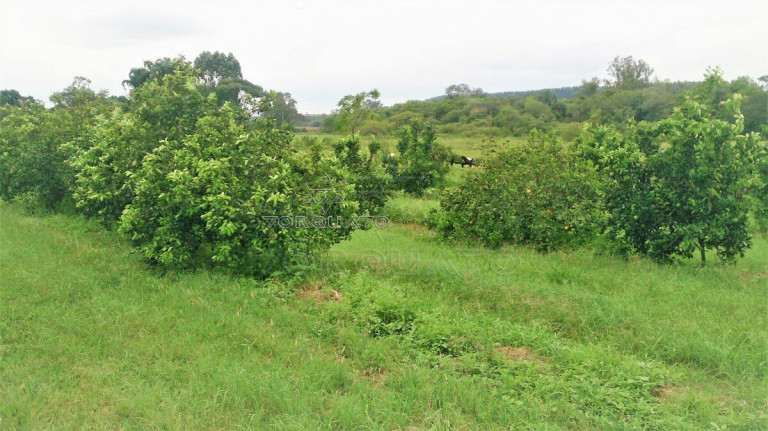 Imagem Terreno à Venda, 72.600 m² em Centro - Conchal