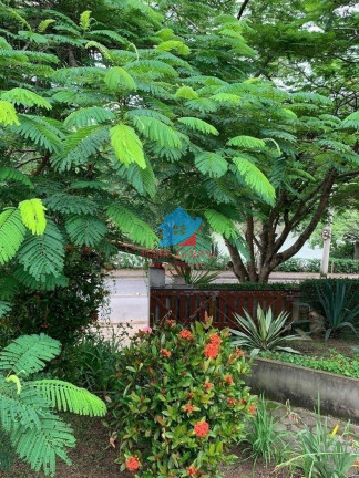Imagem Casa com 3 Quartos para Alugar, 1 m² em Caixa D água - Vinhedo Imagem Casa com 3 Quartos para Alugar, 1 m² em Caixa D água - Vinhedo