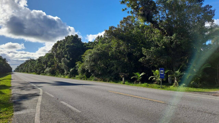 Imagem Chácara à Venda, 8 m² em Graraguaçu - Paranaguá