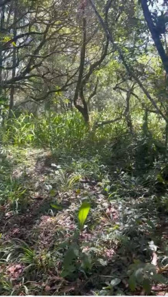 Imagem Terreno à Venda, 2 m² em Jordão (dona Lucinda) - Governador Celso Ramos Imagem Terreno à Venda, 2 m² em Jordão (dona Lucinda) - Governador Celso Ramos