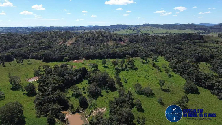 Imagem Chácara à Venda, 8 m² em Zona Rural - Petrolina De Goiás Imagem Chácara à Venda, 8 m² em Zona Rural - Petrolina De Goiás