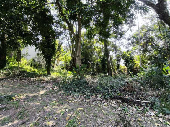 Imagem Terreno à Venda, 317 m² em Várzea Das Moças - Niterói Imagem Terreno à Venda, 317 m² em Várzea Das Moças - Niterói