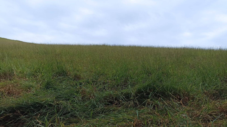 Imagem Fazenda à Venda, 200 m² em Lajeado - Paraibuna Imagem Fazenda à Venda, 200 m² em Lajeado - Paraibuna