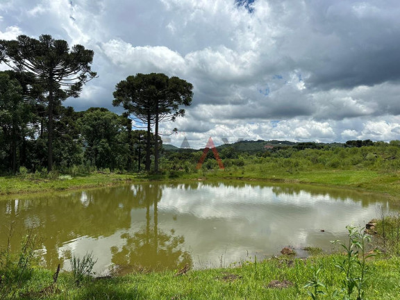 Imagem Fazenda à Venda, 5 m² em Rio Das Pedras - Guarapuava Imagem Fazenda à Venda, 5 m² em Rio Das Pedras - Guarapuava