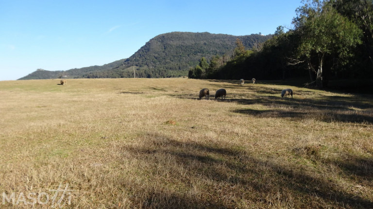 Imagem Chácara à Venda, 30.000 m² em Linha 28 - Gramado Imagem Chácara à Venda, 30.000 m² em Linha 28 - Gramado