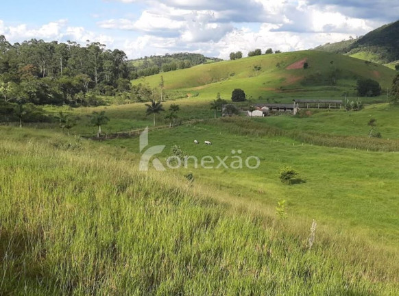 Imagem Fazenda à Venda, 400 m² em Jardim Prado - Santa Branca Imagem Fazenda à Venda, 400 m² em Jardim Prado - Santa Branca