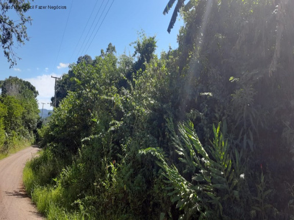 Imagem Imóvel com 2 Quartos à Venda, 11 m² em Linha Pirajá Baixa - Nova Petrópolis Imagem Imóvel com 2 Quartos à Venda, 11 m² em Linha Pirajá Baixa - Nova Petrópolis
