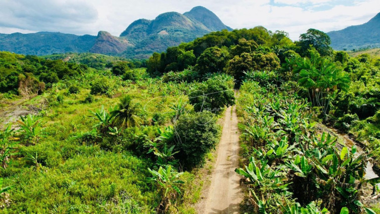 Imagem Terreno à Venda, 75.000 m² em Nova Campo Grande - Cariacica