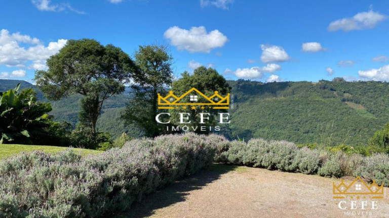Sala Comercial à Venda, 300 m² em Zona Rural - Nova Petrópolis