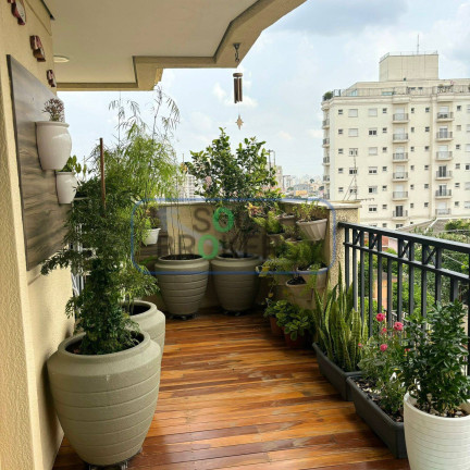 Imagem Apartamento com 3 Quartos à Venda, em Jardim São Paulo(zona Norte) - São Paulo Imagem Apartamento com 3 Quartos à Venda, em Jardim São Paulo(zona Norte) - São Paulo