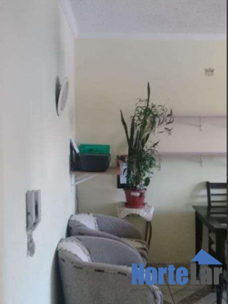 Imagem Apartamento com 2 Quartos à Venda, 52 m² em Vila Clarice - São Paulo Imagem Apartamento com 2 Quartos à Venda, 52 m² em Vila Clarice - São Paulo
