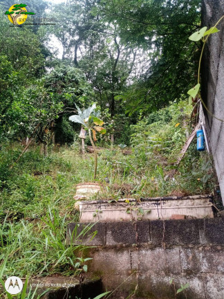 Imagem Sobrado com 3 Quartos à Venda, 450 m² em Sausalito - Mairiporã