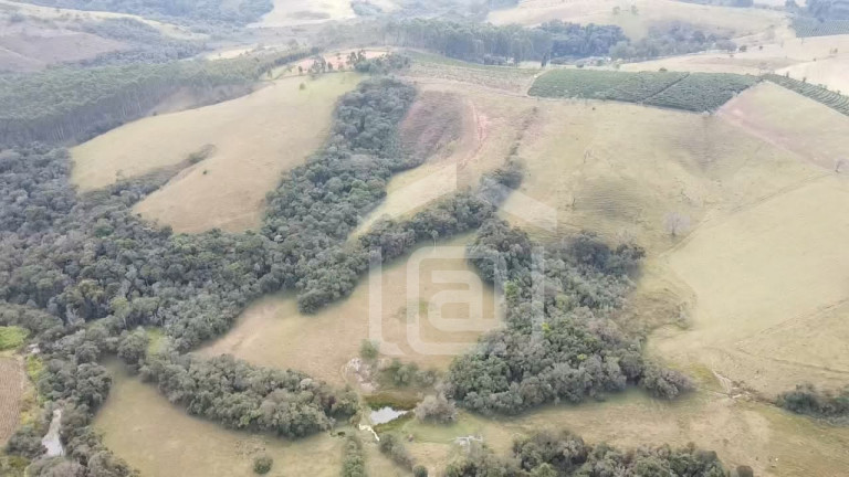 Imagem Imóvel com 2 Quartos à Venda, 29 m² em Pessegueiros - Campestre Imagem Imóvel com 2 Quartos à Venda, 29 m² em Pessegueiros - Campestre