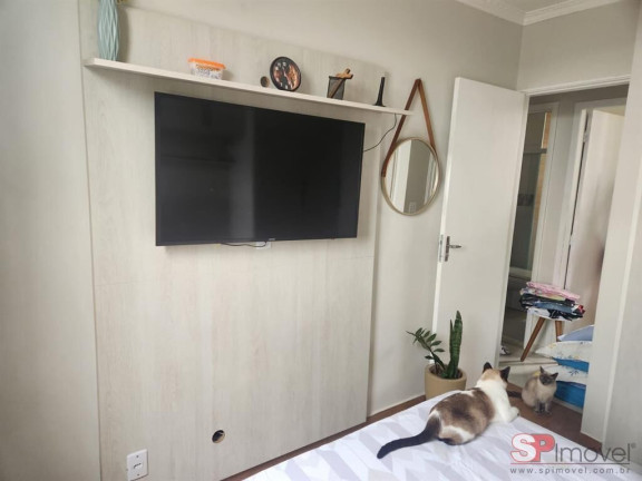 Imagem Apartamento com 3 Quartos à Venda, 64 m² em Vila Nova Cachoeirinha - São Paulo