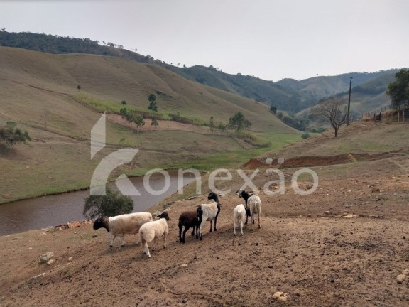 Imagem Fazenda à Venda, 90 m² em Zona Rural - São Luíz Do Paraitinga