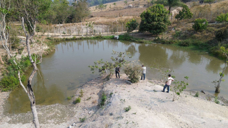 Imagem Chácara com 2 Quartos à Venda, 110.000 m² em Florestal Imagem Chácara com 2 Quartos à Venda, 110.000 m² em Florestal