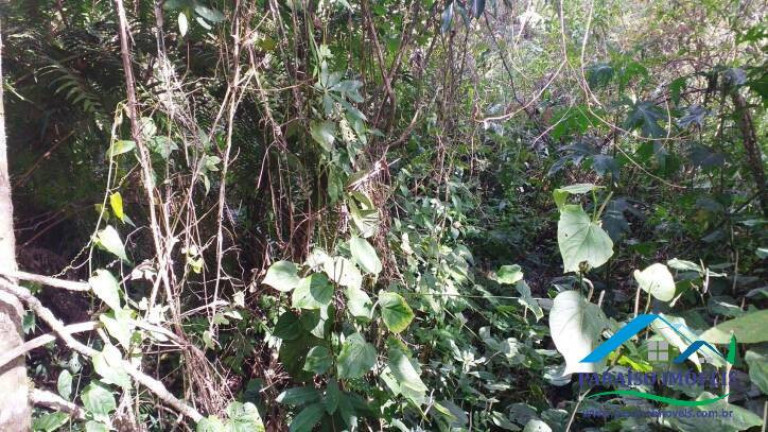 Imagem Terreno à Venda, 113.740 m² em Centro - Gonçalves