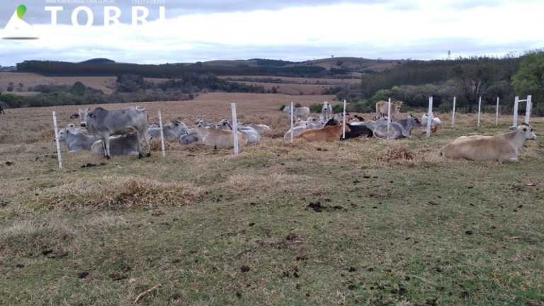 Imagem Imóvel com 1 Quarto à Venda, 1.137.400 m² em Centro - Paranapanema Imagem Imóvel com 1 Quarto à Venda, 1.137.400 m² em Centro - Paranapanema