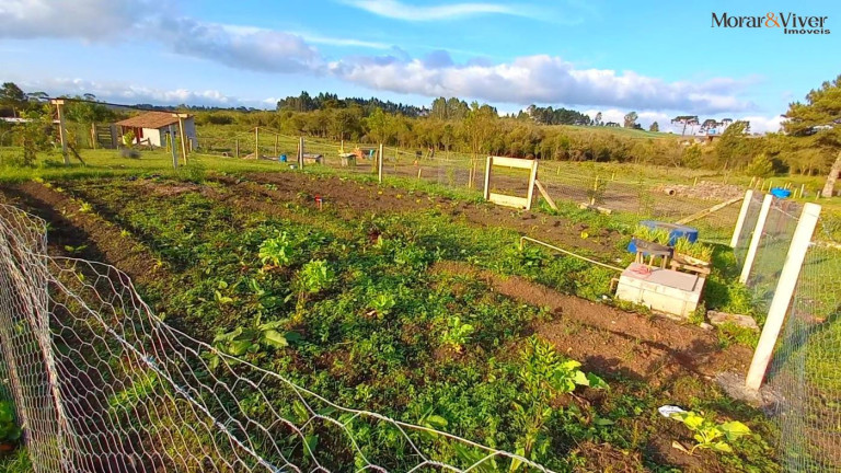 Imagem Chácara à Venda, 32.800 m² em Ambrósio - Tijucas Do Sul