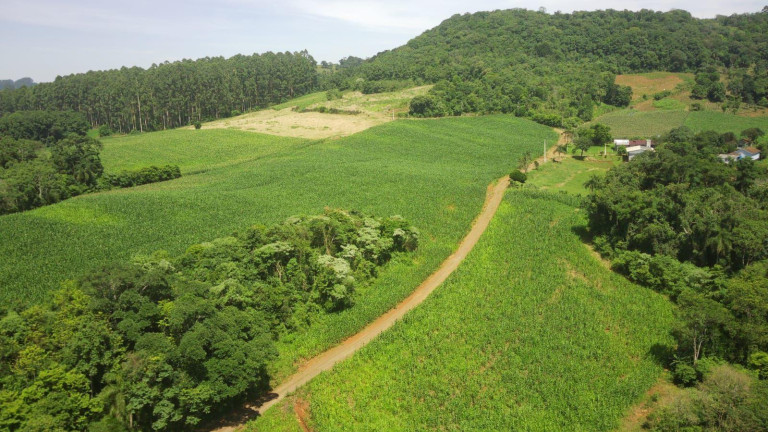 Imagem Terreno à Venda, 90.000 m² em Rural - Concórdia Imagem Terreno à Venda, 90.000 m² em Rural - Concórdia