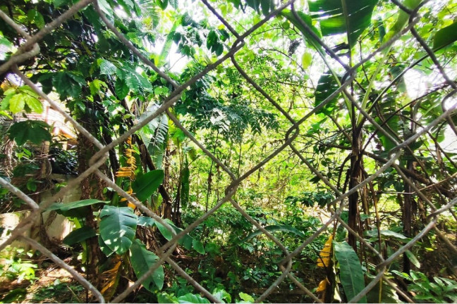 Imagem Terreno à Venda,  em Butantã - São Paulo