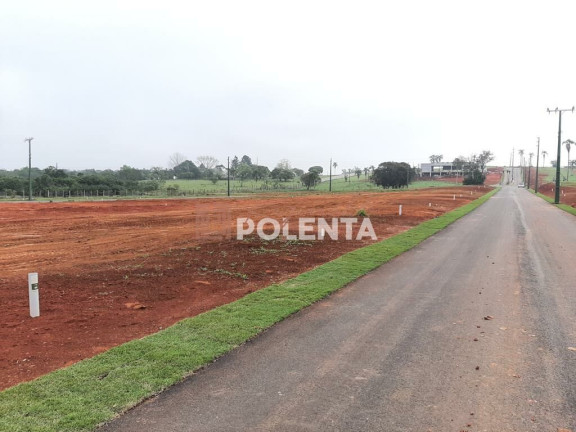 Imagem Terreno à Venda, 560 m² em Primeira Linha - Criciúma