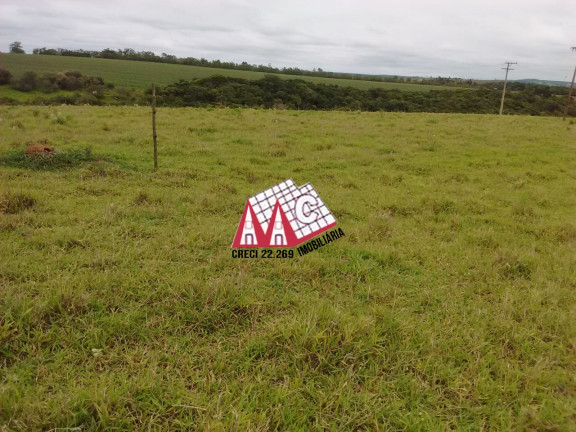 Imagem Imóvel com 3 Quartos à Venda, 484.000 m² em Sarapui - Sarapui Imagem Imóvel com 3 Quartos à Venda, 484.000 m² em Sarapui - Sarapui
