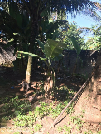Imagem Imóvel com 1 Quarto à Venda,  em Imbariê - Duque De Caxias