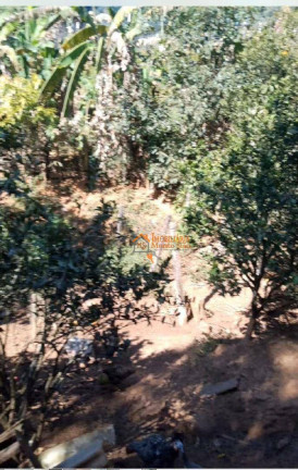 Imagem Chácara com 1 Quarto à Venda, 6.500 m² em Tapera Grande - Mairiporã Imagem Chácara com 1 Quarto à Venda, 6.500 m² em Tapera Grande - Mairiporã