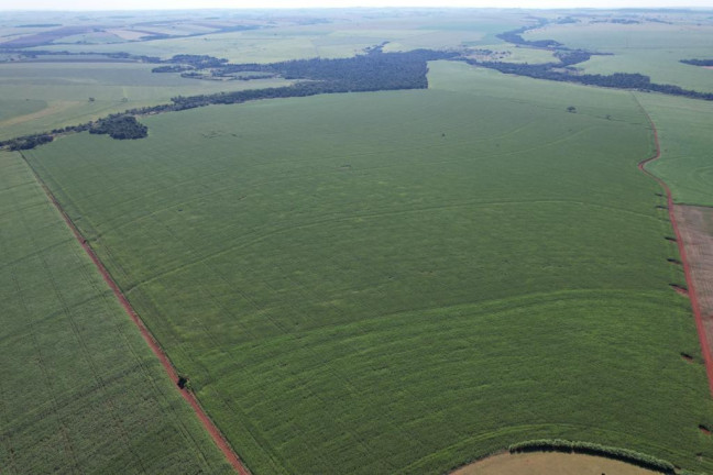 Imagem Fazenda à Venda, 540 m² em Zona Rural - Munhoz De Melo Imagem Fazenda à Venda, 540 m² em Zona Rural - Munhoz De Melo