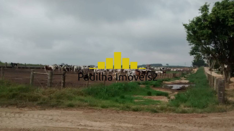 Imagem Chácara à Venda, 365 m² em Itapetininga Imagem Chácara à Venda, 365 m² em Itapetininga