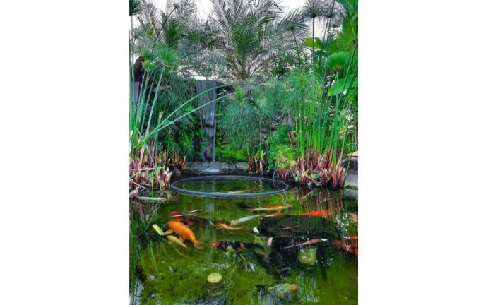 Imagem Imóvel à Venda, em Guaxinduva - Atibaia Imagem Imóvel à Venda, em Guaxinduva - Atibaia