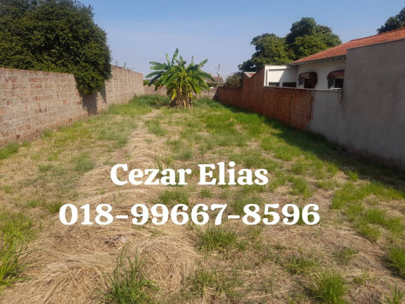 Imagem Terreno à Venda, 400 m² em Andradina Imagem Terreno à Venda, 400 m² em Andradina