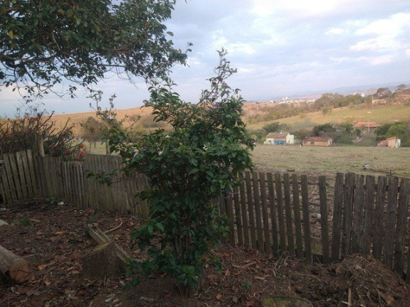 Imagem Fazenda à Venda, 3.000 m² em Jardim Santa Luzia - Guaratinguetá