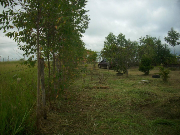 Imagem Chácara com 1 Quarto à Venda, 1.000 m² em Estância Irene - Porangaba Imagem Chácara com 1 Quarto à Venda, 1.000 m² em Estância Irene - Porangaba
