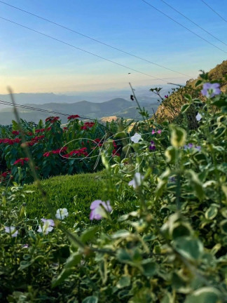 Imagem Fazenda à Venda, 200 m² em Santa Teresa - Santa Teresa