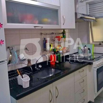 Imagem Apartamento com 3 Quartos à Venda, 62 m² em Vila Antonieta - São Paulo Imagem Apartamento com 3 Quartos à Venda, 62 m² em Vila Antonieta - São Paulo