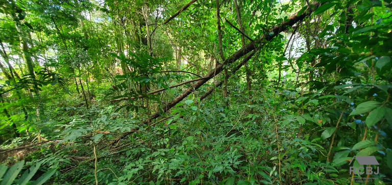Imagem Terreno à Venda, 1.000 m² em Retiro Do Chalé - Brumadinho Imagem Terreno à Venda, 1.000 m² em Retiro Do Chalé - Brumadinho