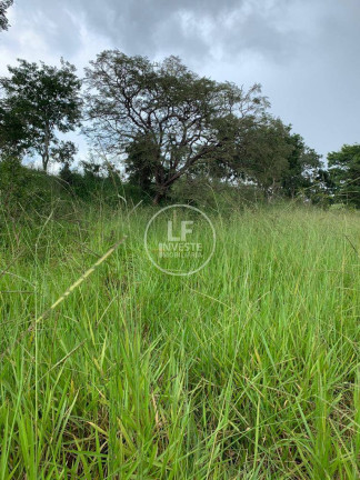 Imagem Chácara à Venda, 60.000 m² em Cristianópolis Imagem Chácara à Venda, 60.000 m² em Cristianópolis
