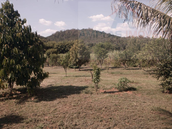 Imagem Chácara com 2 Quartos à Venda, 4.326 m² em Azurita