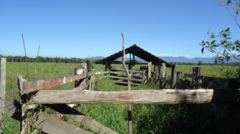 Imóvel à Venda, 250.000 m² em Santa Catarina - Joinville