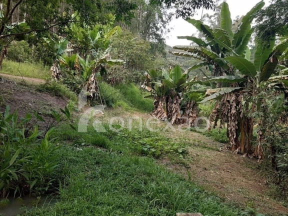 Imagem Chácara com 4 Quartos à Venda, 200 m² em Centro - Paraibuna Imagem Chácara com 4 Quartos à Venda, 200 m² em Centro - Paraibuna