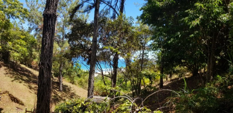 Imagem Imóvel com 2 Quartos para Temporada, em Serra Grande - Uruçuca Imagem Imóvel com 2 Quartos para Temporada, em Serra Grande - Uruçuca