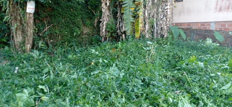 Imagem Terreno à Venda, 246 m² em Granja Guarani - Teresópolis Imagem Terreno à Venda, 246 m² em Granja Guarani - Teresópolis