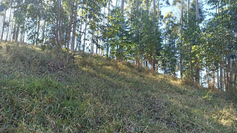 Imagem Chácara com 2 Quartos à Venda, 100 m² em Centro - Paraibuna