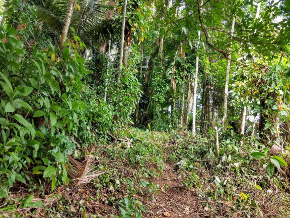 Imagem Terreno à Venda, 900 m² em América - Joinville