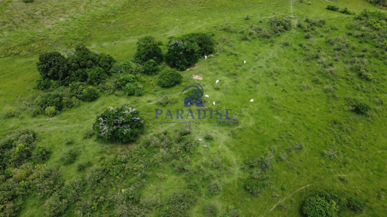 Imagem Fazenda à Venda, 2.114.000 m² em Zona Rural - Itanagra Imagem Fazenda à Venda, 2.114.000 m² em Zona Rural - Itanagra