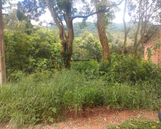 Imagem Terreno à Venda, 270 m² em Corumbá (terra Preta) - Mairiporã Imagem Terreno à Venda, 270 m² em Corumbá (terra Preta) - Mairiporã