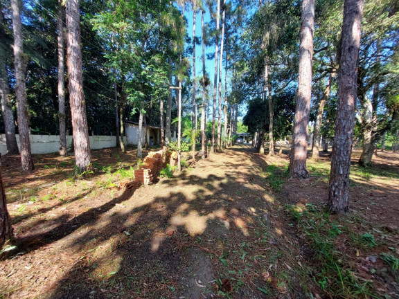 Imagem Imóvel com 3 Quartos à Venda, em São Fernando - Itanhaém Imagem Imóvel com 3 Quartos à Venda, em São Fernando - Itanhaém
