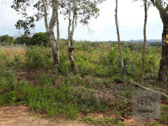 Imagem Terreno à Venda, 2.023 m² em João Alves - Santa Cruz Do Sul Imagem Terreno à Venda, 2.023 m² em João Alves - Santa Cruz Do Sul
